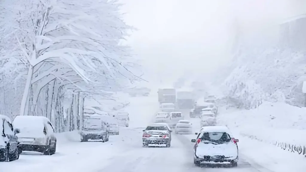 tinting in winter