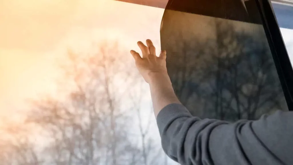 What is the Most Private Window Film